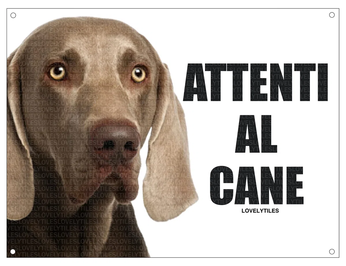 Weimaraner ATTENTI al Cane Targa Cartello Metallo (15X20)