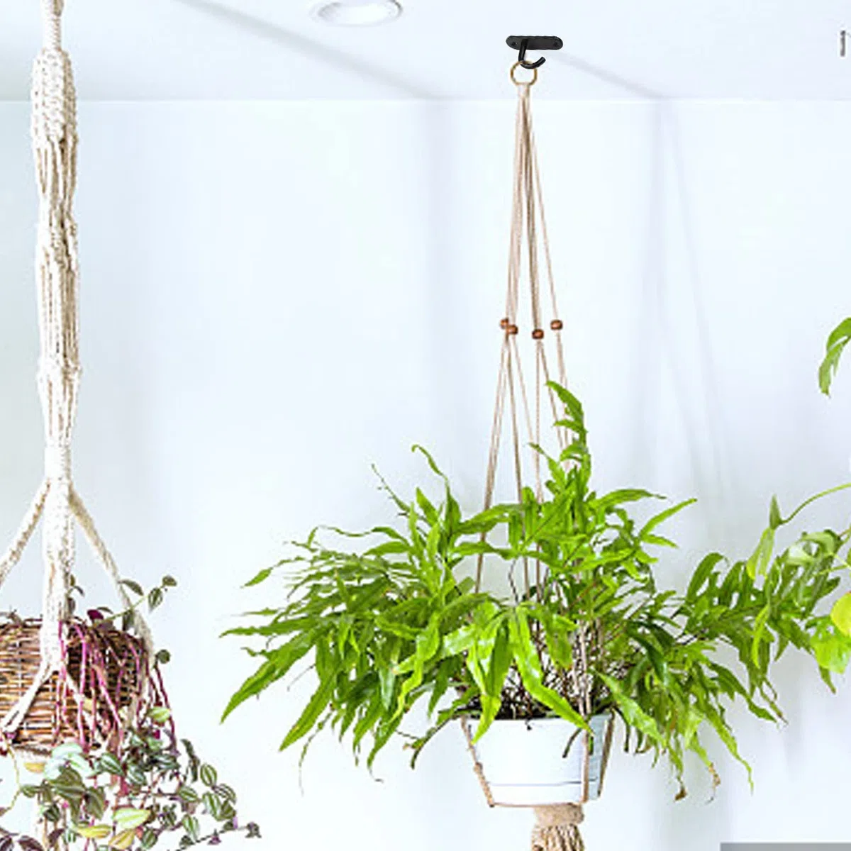 4 Pezzi Ganci a Soffitto, Ganci in Acciaio Inox da 6 cm con 8 Viti, bBase Saldata Gancio da Soffitto Vite per Piccoli Ventilatori da Soffitto, Applique e Zanzariere